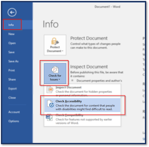 info tab selected with check for issues drop down menu selected with Check Accessibility selected 