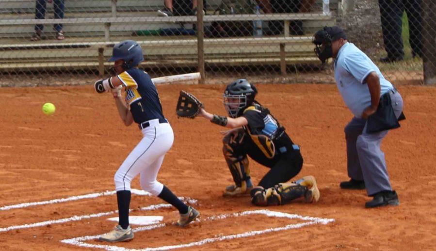 Big 8 Softball Image 