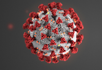Coronavirus 