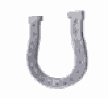 HORSESHOE 