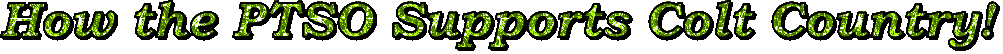 PTSO 
