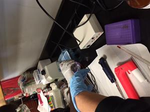 Biotech at work 