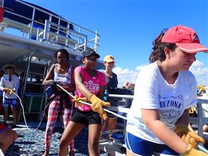 shark tagging teamwork 