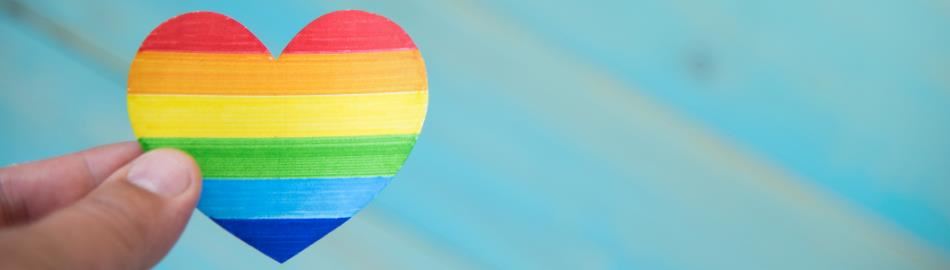 LGBTQ & Questioning 