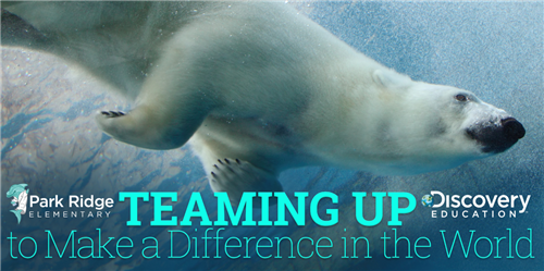 Polar bear swimming with Teaming Up to make a difference in the world text in a box 