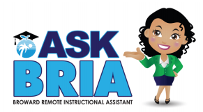 Ask BRIA 