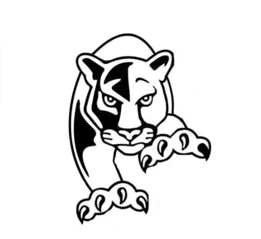  Black and White Approaching Panther