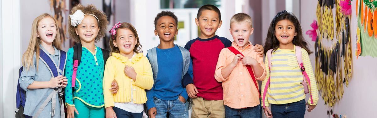Background on PIPs in Schools