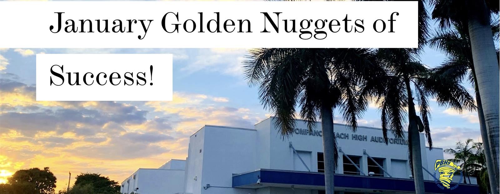 January Golden Nuggets of Success 