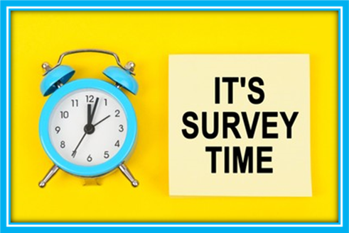  Survey picture