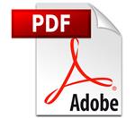 pdf icon 