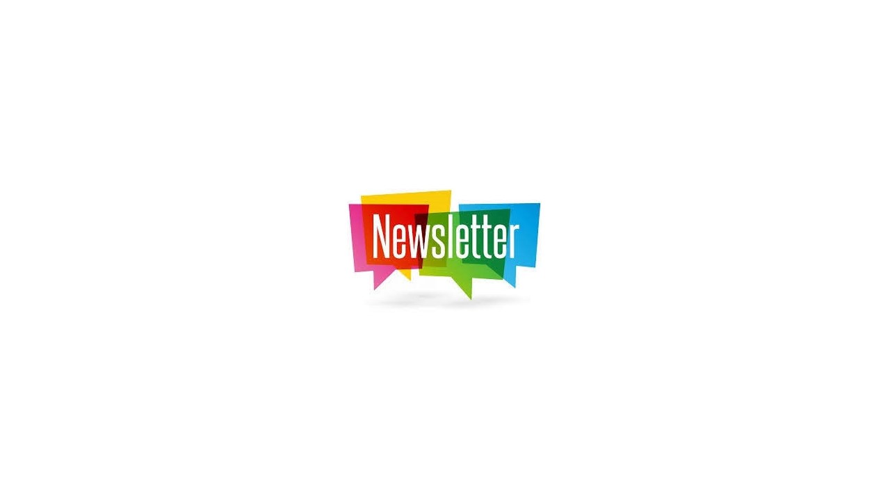 Newsletter Icon