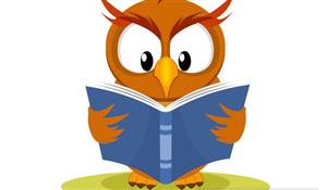 owl reading