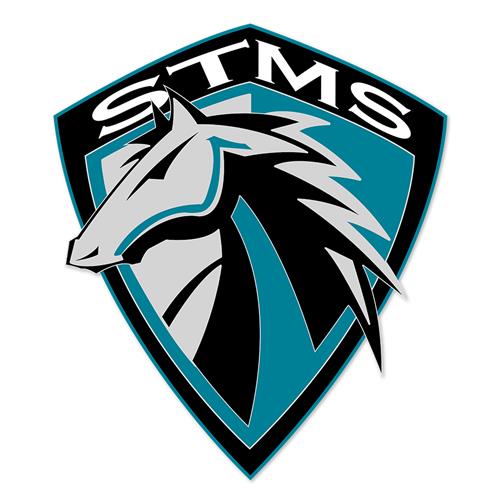 STMS LOGO