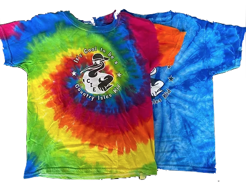  Picture of spirit day shirts