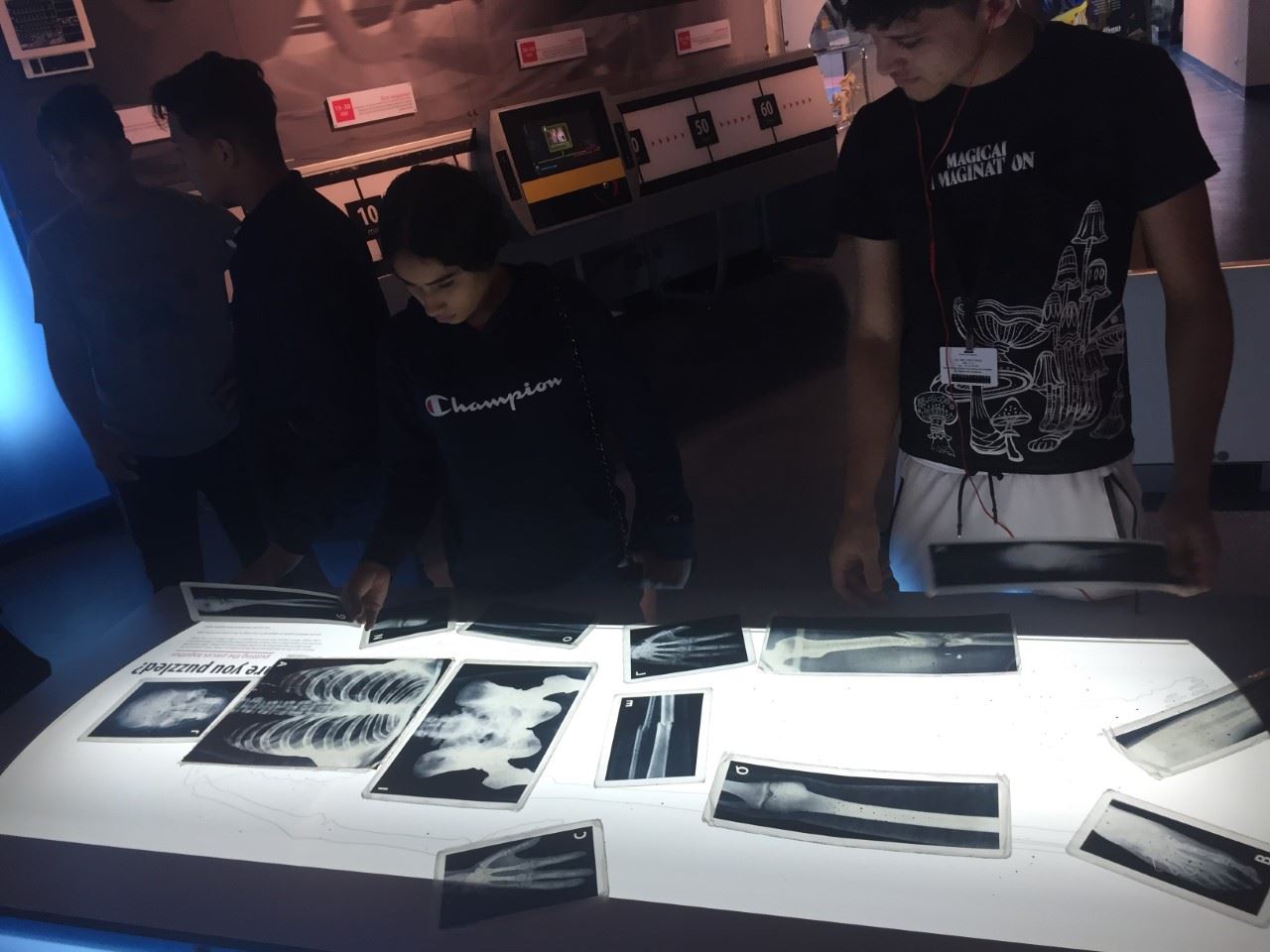 Museum of Discovery & Science 6