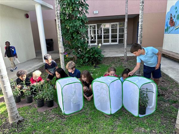 students tending to caterpillars