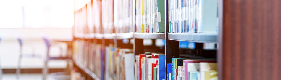Image of a shelf of library books. 