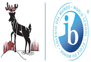 Deerfield Beach Middle Logo